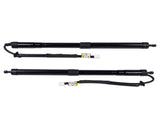 2X Rear Tailgate Power Lift Support Strut Replacement for Lexus RX350 RX350L RX450hL 2018-22 78107031