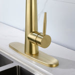 ZUN Gold Kitchen Faucets with Pull Down Sprayer, Kitchen Sink Faucet with Pull Out Sprayer,Fingerprint 93404954