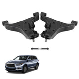 2x Front Lower Control Arm w/Ball Joints for Nissan Armada Titan 2004 2005-2015 42038382