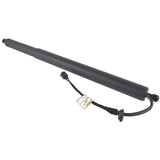 Fits for Hyundai Palisade 3.8L 2020-2022 Driver Left Trunk Lift Strut Shock 81831-S8100 38785499