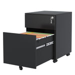 ZUN 2 Drawer Mobile File Cabinet with Lock Steel File Cabinet for Legal/Letter/A4/F4 Size, Fully W252125343