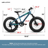 V20235 20 Inch Fat Tire Bike Adult 7 Speed Mountain Bike, Dual Disc Brakes, High Carbon Steel Frame, W709P285166