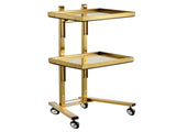 Gold 2 Tier Beauty Salon SPA Rolling Cart w/Double Storage Tray Stainless Steel 65665633