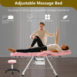 ZUN Massage Salon Tattoo Chair with Two Trays Esthetician Bed with Hydraulic Stool,Multi-Purpose W1422132170