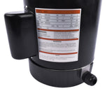 1HP Pool Pump Motor B2853 Single Speed 230V Square Flange for Pentair SuperFlo 94717554