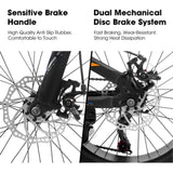 V20235 20 Inch Fat Tire Bike Adult 7 Speed Mountain Bike, Dual Disc Brakes, High Carbon Steel Frame, W709P285165