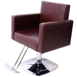 Salon Chair for Hair Stylist 360&deg Swivel with Heavy Duty Hydraulic Pump, Max Load Weight 330 lbs, W465P156748