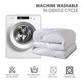 Two-pack of 100% polyester brushed single comforters with microfiber filling, down 22365357