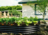 Galvanized Raised Garden Bed 8x4x1ft - Heavy Duty Metal Planter Box for Vegetables, Herbs & Flowers, W840P499238