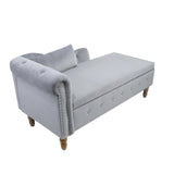Grey Chaise Lounge Indoor,Velvet Lounge Chair for Bedroom with Storage & Pillow,Modern Upholstered W1170100897