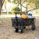 ZUN Collapsible Wagon Cart Heavy Duty Foldable Wagon with Big Wheels for Sand All-Terrain Utility T3060P247062