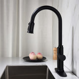 Kitchen Faucet with Pull Out Spraye 66599224