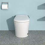 ZUN Smart Toilet with Bidet Built in, Auto Open & Close, Elongated Heated seat, Foot Sensor Flush, LED W1243P203352