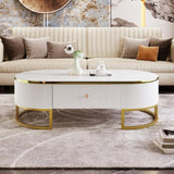 ZUN Modern Oval Coffee Table with Drawers,Curved Profile Design, Gold Metal Decor, Center Table for N735P192897K