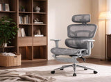 Ergonomic Mesh Office Chair with Lumbar Support, 2D Headrest & Retractable Footrest, Reclining 55060219