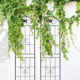 2 Pack Metal Garden Trellis 86.7" x 19.7" Rustproof Trellis for Climbing Plants Outdoor Flower W1586P268038