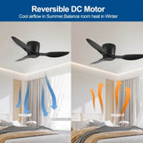 ZUN 40" Flush Mount Ceiling Fan without light, 3 Reversible Blades, with 6 Speeds Reversible DC W2352P194033