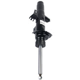 ZUN Front Right Shock Absorber 37116793868 for BMW 228i 230i 328i 330i 335i 340i 428i 430i 435i 89284837