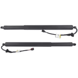 Set of 2 Rear Power Tailgate for Hyundai Palisade 3.8L V6 GAS DOHC 2020-2022 81831-S8100 81841-S8100 50496657