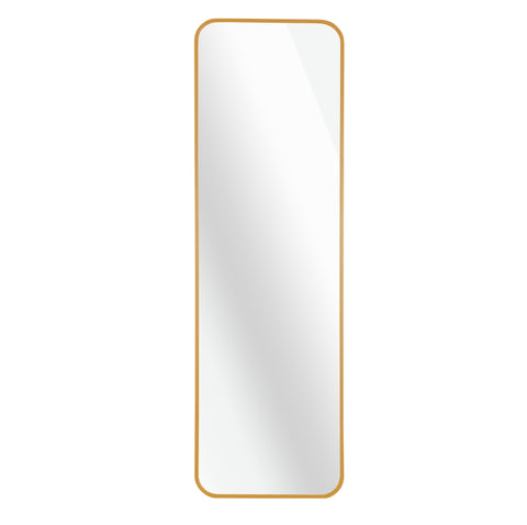 ZUN Gold 47 x 14IN Door mirror W2203P182156