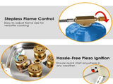 13KW Stepless Adjustable Camping Gas Stove Windproof 5 Burner Head Copper Preheating Tube, Piezo 29040017