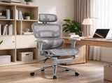 Ergonomic Mesh Office Chair with Lumbar Support, 2D Headrest & Retractable Footrest, Reclining 55060219