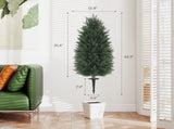 Artificial Plant/Green plants 18366060