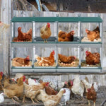 ZUN 8 Compartment Chicken Nesting Boxes,For Laying Eggs, Metal Poultry Nest Box Wall Mount for Chickens, W1422P246453