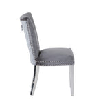 Eva 2 Piece Stainless Steel Legs Chair Finish with Velvet Fabric in Gray 733569236183