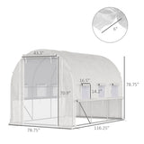 Mini Walk-in Greenhouse 06744769