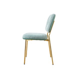 Modern Dining Chairs Set of 2, Beige & Green Upholstered Accent Chairs with Metal Legs N842P284565C
