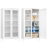 73 inches high metal storage cabinet with 2 wire mesh doors, suitable for homes, offices and dining T3421P312391