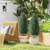 Artificial Plant/Green plants 14655032