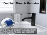 Single Handle Bathroom Faucet Lavatory Faucet Stainless Steel Single Hole-T10, Matte BlackUnable 03441011