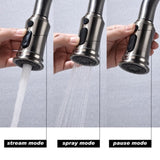 Kitchen Faucet with Pull Out Spraye 66331531