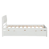 Modern Twin Bed Frame With Twin Trundle For High Gloss Headboard and Footboard With Creamy W697131325