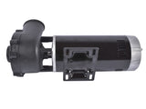 Executive 56-Frame 4HP Dual-Speed Spa Pump 2in Intake & Discharge 1-4 Horsepower 230 Volt 160 51733889