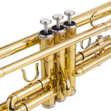 Drop B Tone Adjustable Trumpet Gloves Set Plaint Golden 22632659