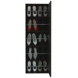 Leto Wall Mounted Shoe Rack With Mirror, Single Door, Capacity For Ten Shoes -Black B20091927