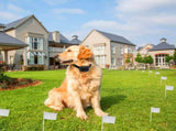 Electric Dog Fence System Pet Tone Shock Boundary Containment Water Resistant Collar Receiver For 81884925