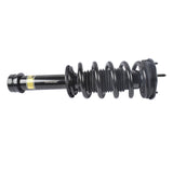 Front Left or Right Coil Spring Shock Strut Assy Fits for Tesla Model S AWD 75D 85D 90D 2015-2019 58103931