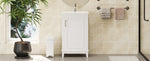 ZUN [Viedo] 20 Inch Modern Small Bathroom Vanity Cabinet With Ceramic Basin- 20*14.5*33.3 Inches,Ample WF318756AAK