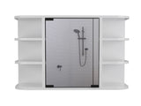 Roseburg 6-Shelf Medicine Cabinet with Mirorr White B06280464