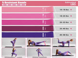 14Pcs All-in-One Pilates Kit, Pilates Ring Yoga Ball Resistance Bands Set with Carry Bag, Full Body 65421013