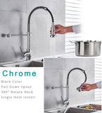 Single Handle Pull Down Sprayer Kitchen Sink Faucet W153367664