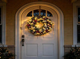 24" Artificial Flocked Christmas Wreath, PreStrung 50 Warm White BatteryPowered LED Lights Frosted 86835740