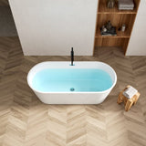 67" Acrylic Freestanding Bathtub, Modern & Contemporary Design Soaking Tub with Toe-tap Drain in W2568P166065