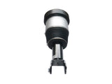 Front Air Suspension Shock 02-09 Jaguar Super V8 Vanden Plas XJ XJ8 XJR 4.2 55371370