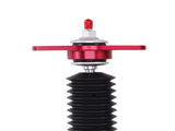 2x Rear Coilover Suspension Lowering Kit fit for Dodge Challenger RWD 2008-2010 59116651