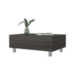 ZUN Boston Lift Top Coffee Table B128P148665